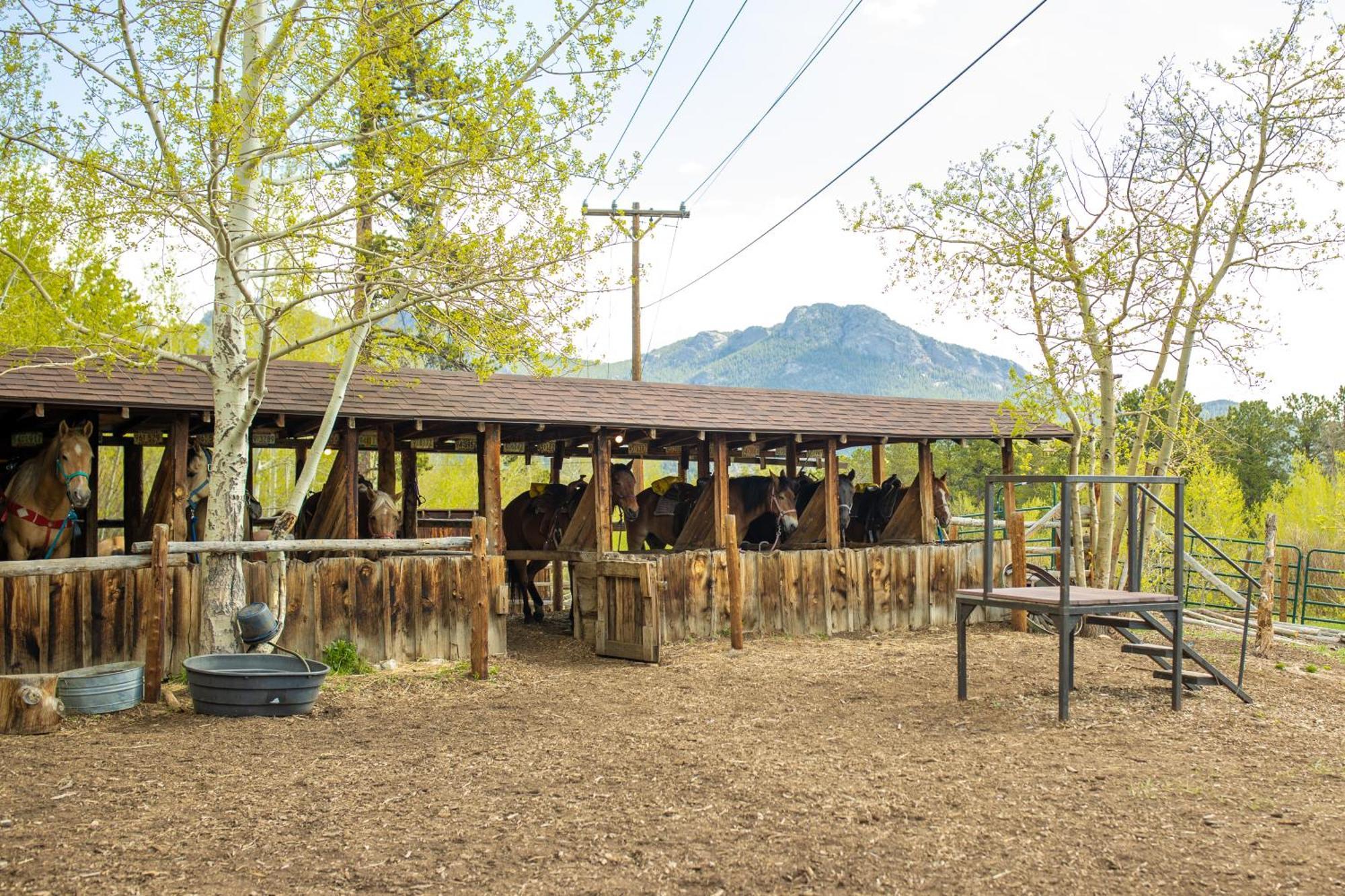 The Meeker Park Lodge Allenspark Ngoại thất bức ảnh